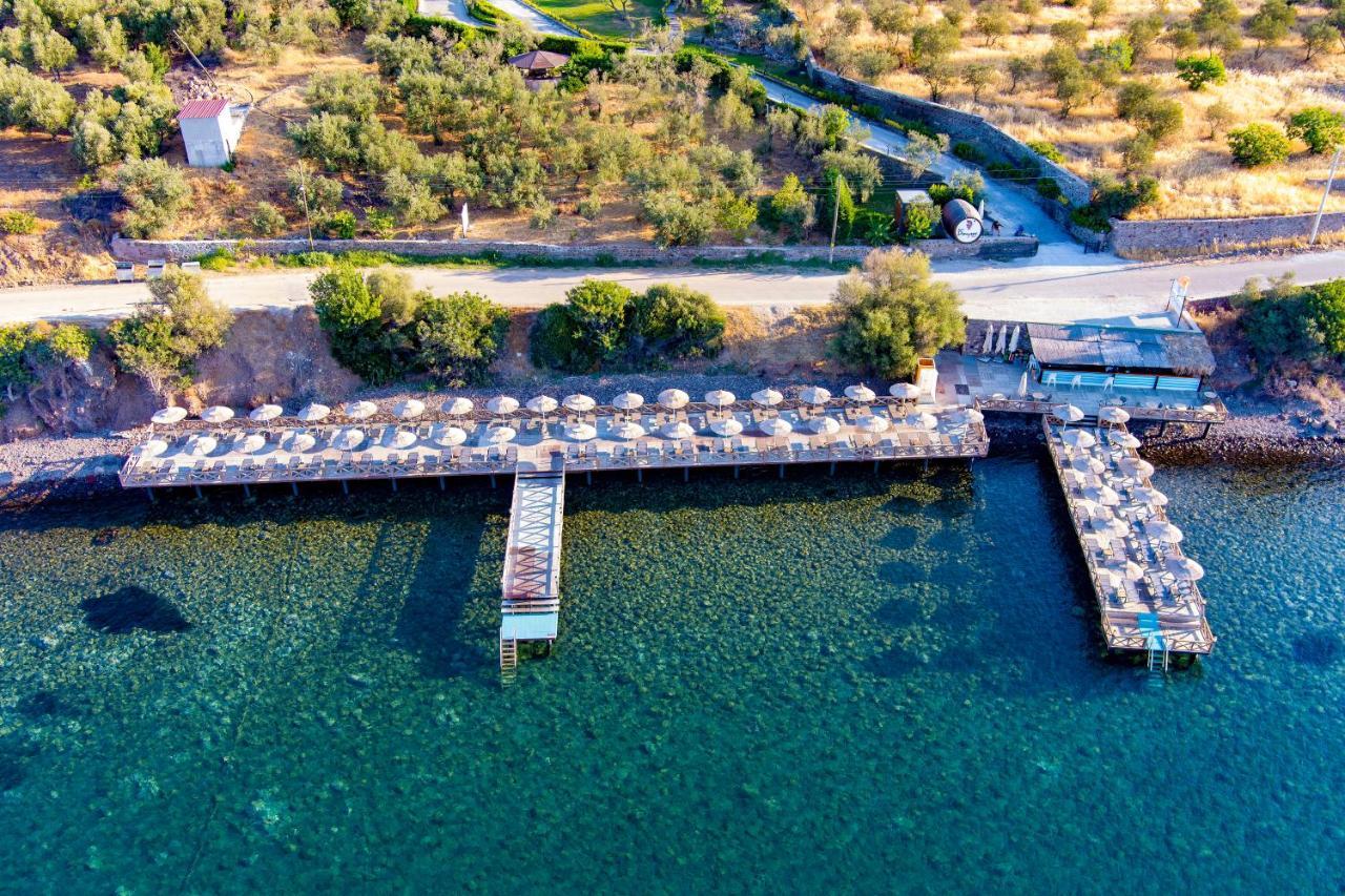 Assos Dionysos Special Class Hotel Adults Only 12 Years Zewnętrze zdjęcie